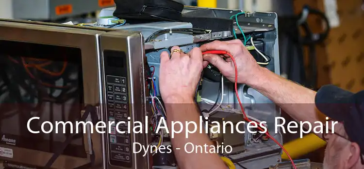 Commercial Appliances Repair Dynes - Ontario