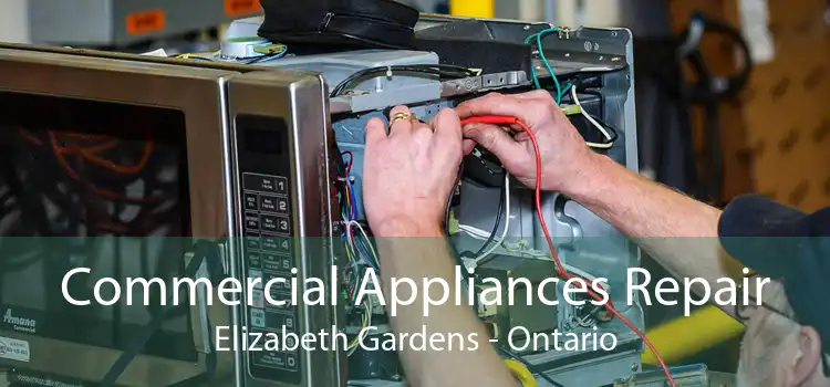 Commercial Appliances Repair Elizabeth Gardens - Ontario