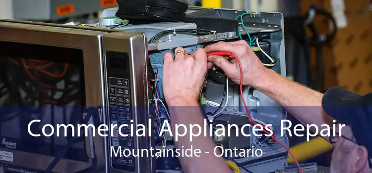 Commercial Appliances Repair Mountainside - Ontario
