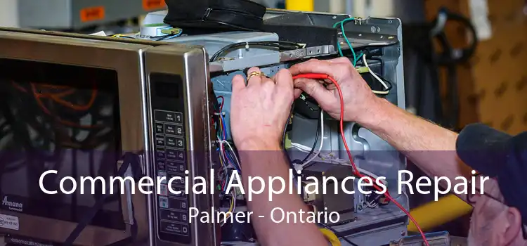 Commercial Appliances Repair Palmer - Ontario