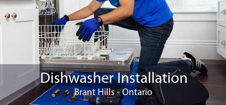 Dishwasher Installation Brant Hills - Ontario