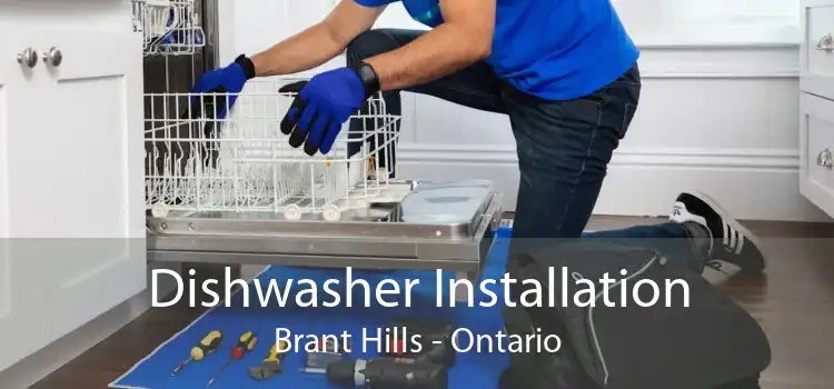 Dishwasher Installation Brant Hills - Ontario