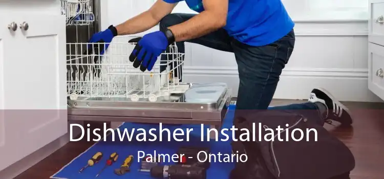 Dishwasher Installation Palmer - Ontario