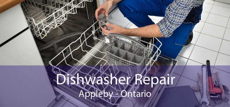 Dishwasher Repair Appleby - Ontario