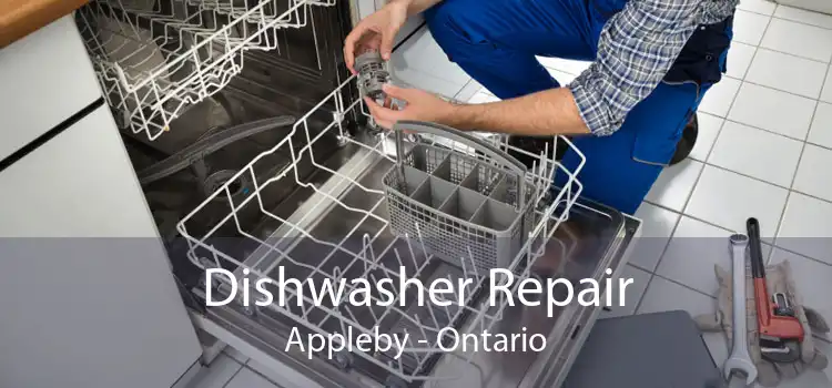 Dishwasher Repair Appleby - Ontario