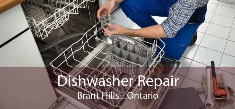 Dishwasher Repair Brant Hills - Ontario