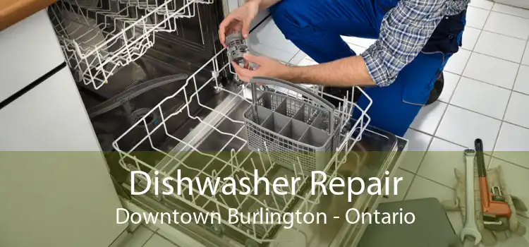 Dishwasher Repair Downtown Burlington - Ontario