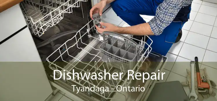 Dishwasher Repair Tyandaga - Ontario