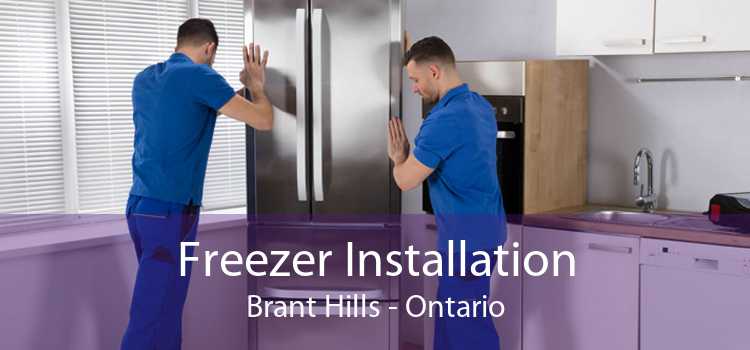 Freezer Installation Brant Hills - Ontario
