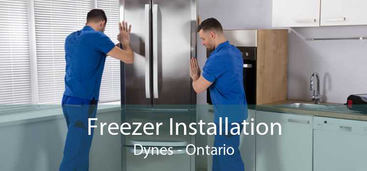 Freezer Installation Dynes - Ontario