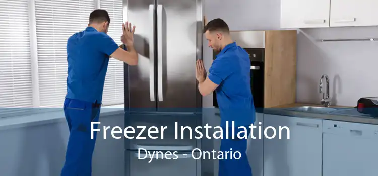 Freezer Installation Dynes - Ontario