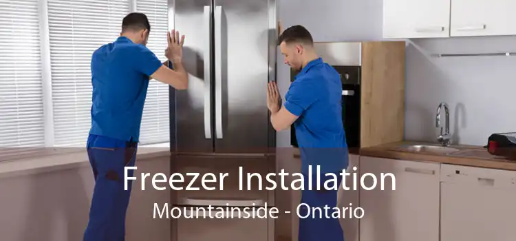 Freezer Installation Mountainside - Ontario