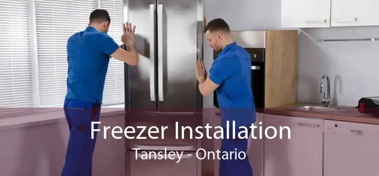 Freezer Installation Tansley - Ontario