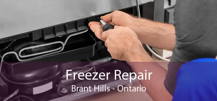 Freezer Repair Brant Hills - Ontario