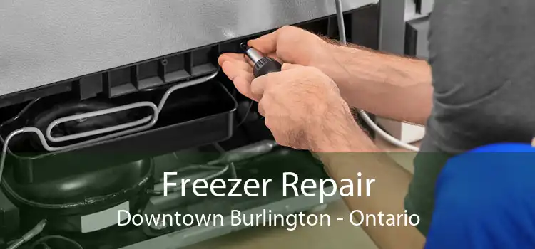 Freezer Repair Downtown Burlington - Ontario