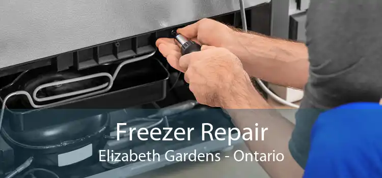 Freezer Repair Elizabeth Gardens - Ontario