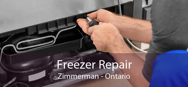 Freezer Repair Zimmerman - Ontario
