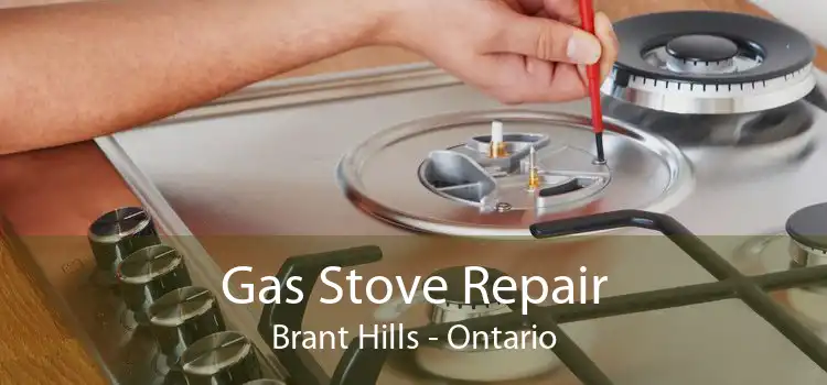 Gas Stove Repair Brant Hills - Ontario