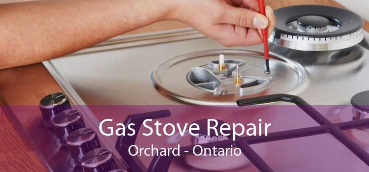 Gas Stove Repair Orchard - Ontario