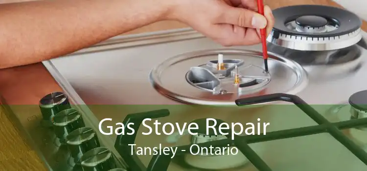 Gas Stove Repair Tansley - Ontario
