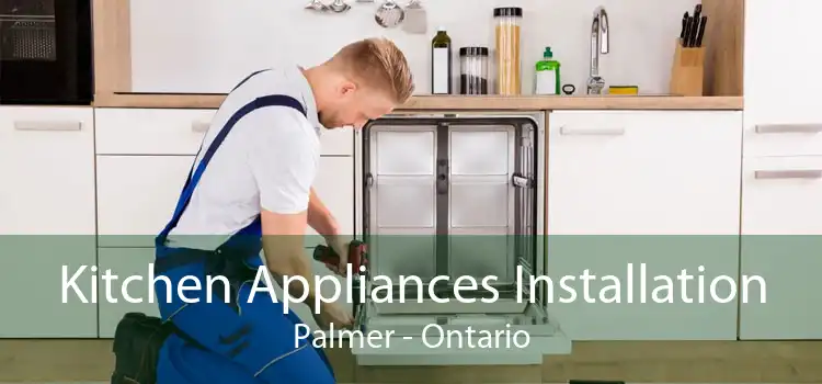 Kitchen Appliances Installation Palmer - Ontario