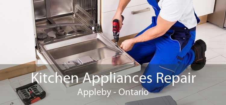 Kitchen Appliances Repair Appleby - Ontario