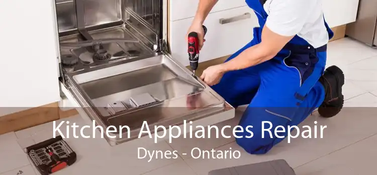 Kitchen Appliances Repair Dynes - Ontario
