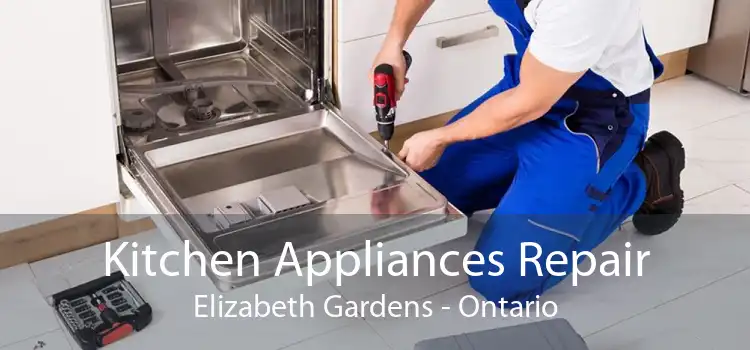 Kitchen Appliances Repair Elizabeth Gardens - Ontario