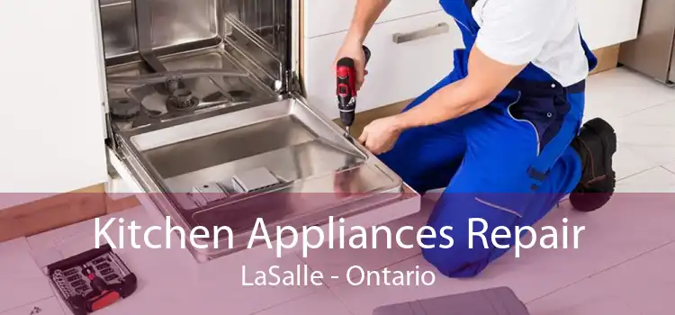 Kitchen Appliances Repair LaSalle - Ontario