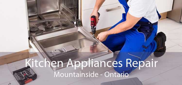 Kitchen Appliances Repair Mountainside - Ontario