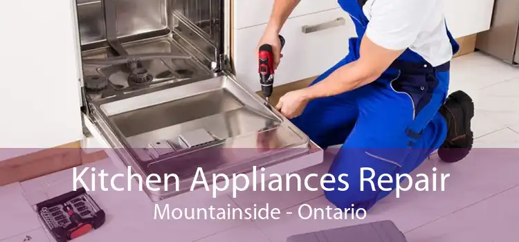 Kitchen Appliances Repair Mountainside - Ontario