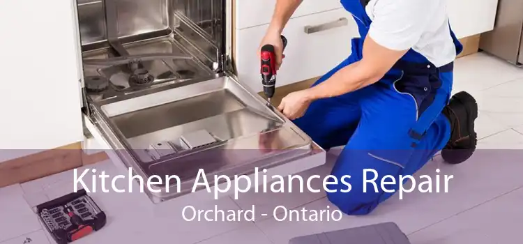 Kitchen Appliances Repair Orchard - Ontario