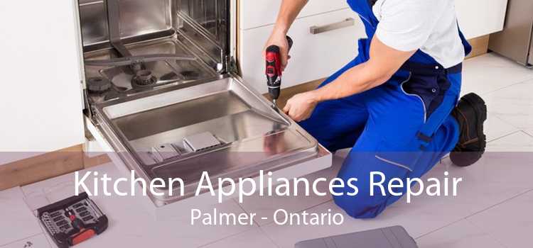 Kitchen Appliances Repair Palmer - Ontario