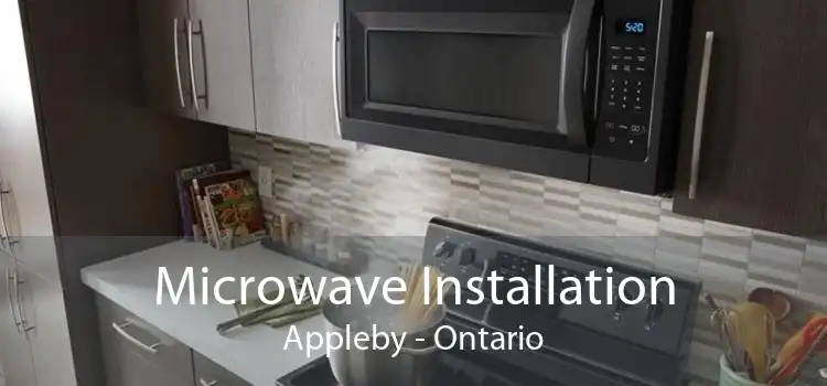 Microwave Installation Appleby - Ontario