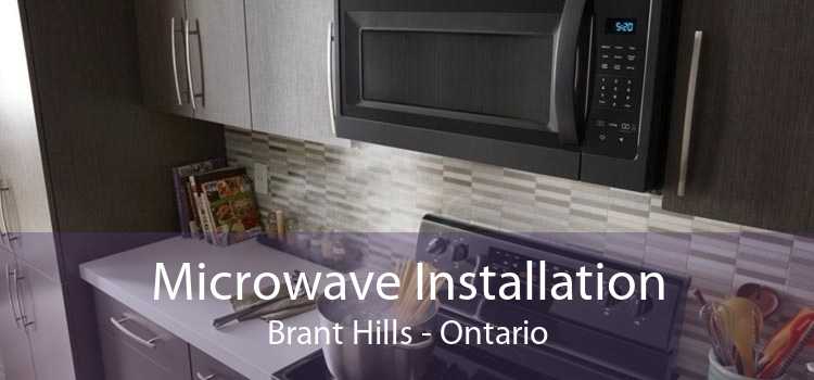 Microwave Installation Brant Hills - Ontario