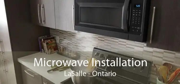 Microwave Installation LaSalle - Ontario