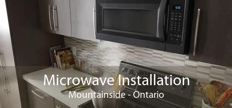 Microwave Installation Mountainside - Ontario