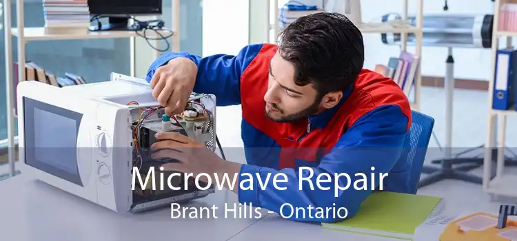 Microwave Repair Brant Hills - Ontario