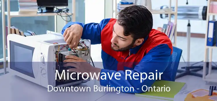 Microwave Repair Downtown Burlington - Ontario