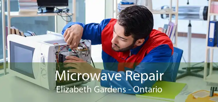 Microwave Repair Elizabeth Gardens - Ontario