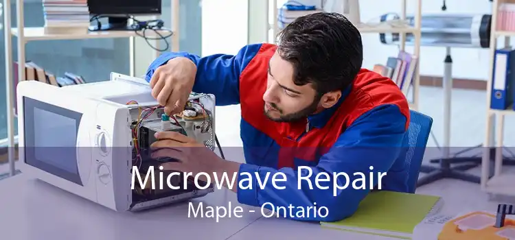 Microwave Repair Maple - Ontario