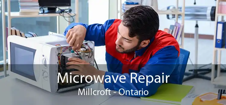 Microwave Repair Millcroft - Ontario