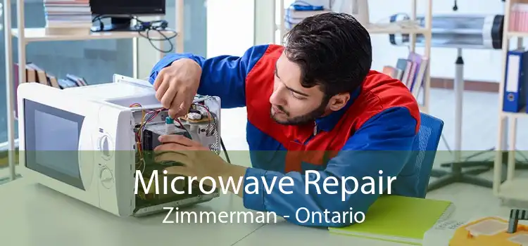 Microwave Repair Zimmerman - Ontario
