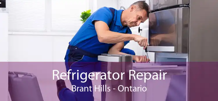 Refrigerator Repair Brant Hills - Ontario