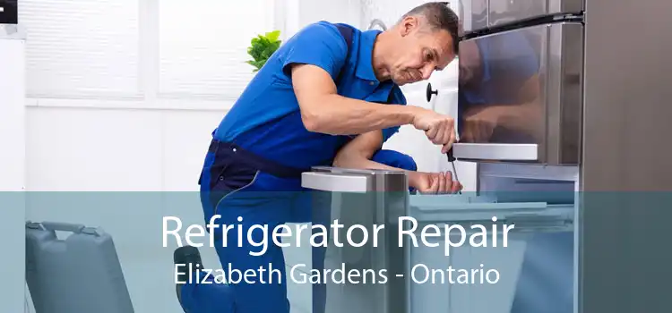 Refrigerator Repair Elizabeth Gardens - Ontario