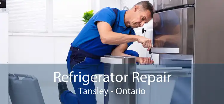 Refrigerator Repair Tansley - Ontario