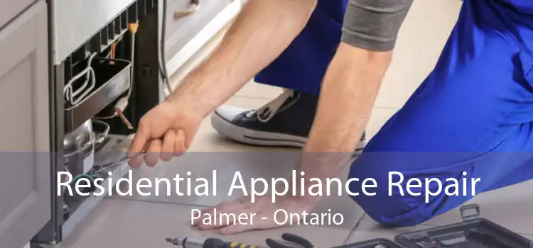 Residential Appliance Repair Palmer - Ontario