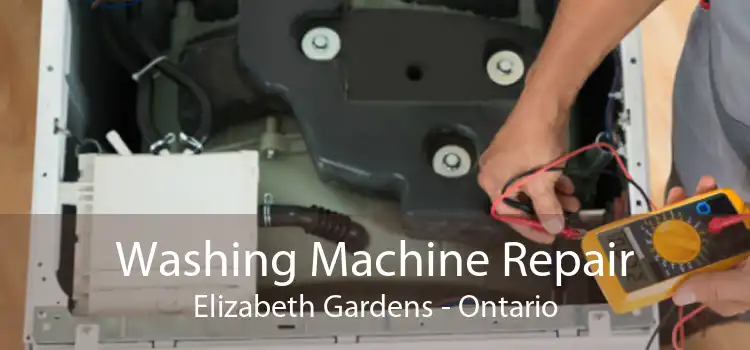 Washing Machine Repair Elizabeth Gardens - Ontario