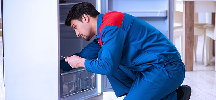 Freezer Repair Services in Nelson